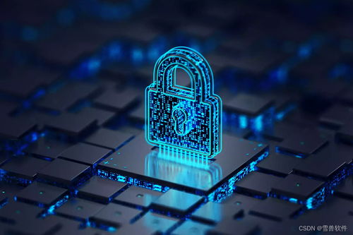 10種提升數(shù)據(jù)安全性的網(wǎng)絡(luò)技術(shù)開發(fā)方法